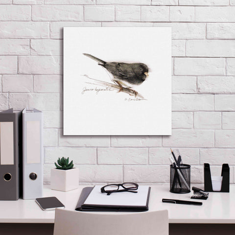 Image of 'Songbird Study V' by Bruce Dean, Giclee Canvas Wall Art,18x18