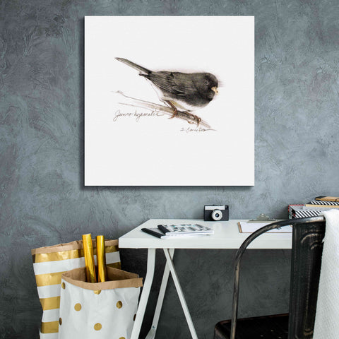 Image of 'Songbird Study V' by Bruce Dean, Giclee Canvas Wall Art,26x26