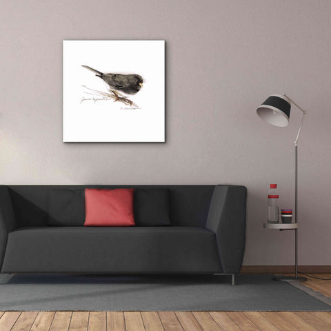Image of 'Songbird Study V' by Bruce Dean, Giclee Canvas Wall Art,37x37