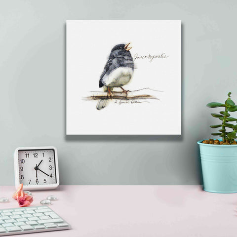 Image of 'Songbird Study VI' by Bruce Dean, Giclee Canvas Wall Art,12x12