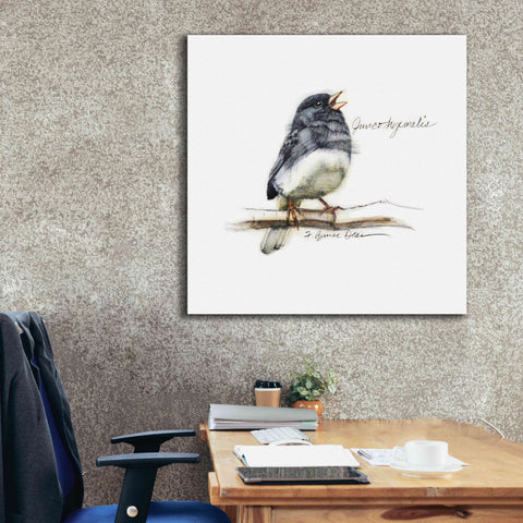 Image of 'Songbird Study VI' by Bruce Dean, Giclee Canvas Wall Art,37x37