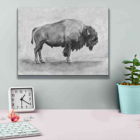 Image of 'Wild Bison Study I' by Emma Scarvey, Giclee Canvas Wall Art,16 x 12