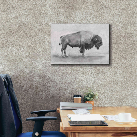 Image of 'Wild Bison Study I' by Emma Scarvey, Giclee Canvas Wall Art,26 x 18