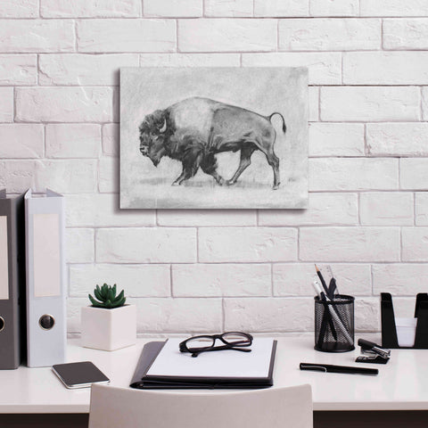 Image of 'Wild Bison Study II' by Emma Scarvey, Giclee Canvas Wall Art,16 x 12