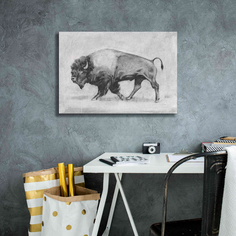 Image of 'Wild Bison Study II' by Emma Scarvey, Giclee Canvas Wall Art,26 x 18