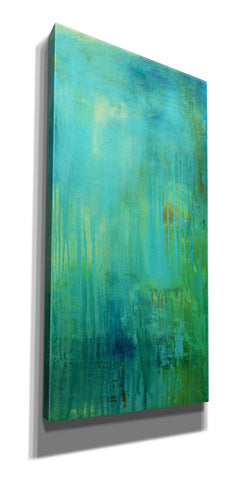 Image of 'Blue Mountain Rain II' by Erin Ashley, Giclee Canvas Wall Art