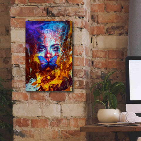 Image of 'Cyclolysis Metamorphica' by Mario Sanchez Nevado, Canvas Wall Art,12x18