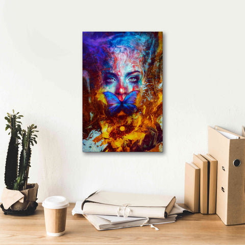 Image of 'Cyclolysis Metamorphica' by Mario Sanchez Nevado, Canvas Wall Art,12x18
