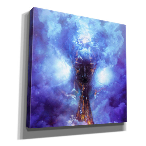 Image of 'Evaporate' by Mario Sanchez Nevado, Canvas Wall Art