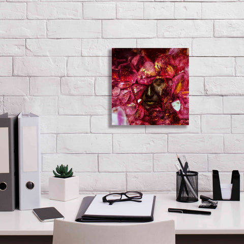 Image of 'States of the Matter - Crystallize' by Mario Sanchez Nevado, Canvas Wall Art,12x12