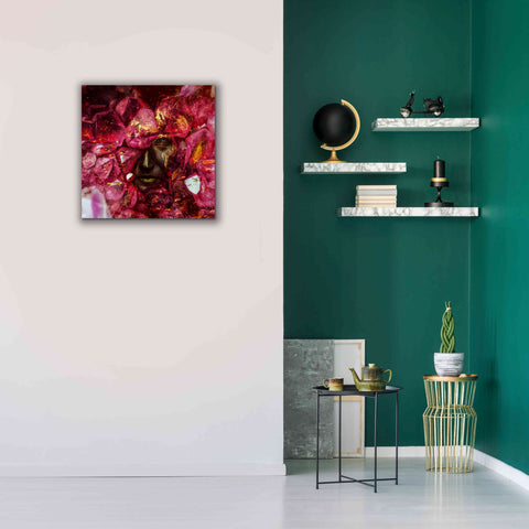 Image of 'States of the Matter - Crystallize' by Mario Sanchez Nevado, Canvas Wall Art,26x26