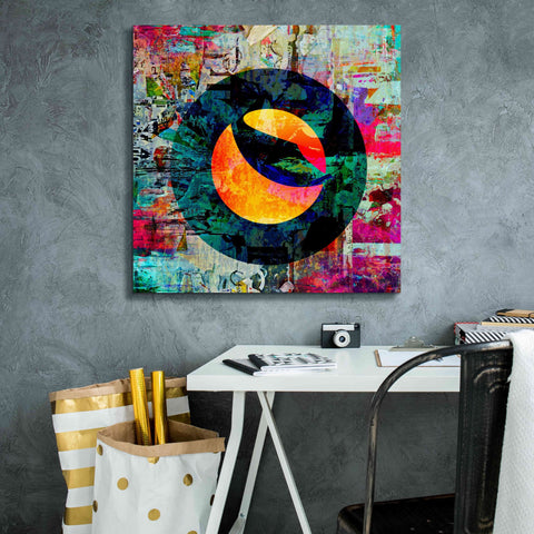Image of 'Luna Terra Crypto In Color' by Portfolio Giclee Canvas Wall Art,26x26