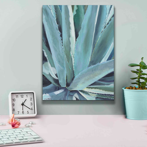 Image of 'Blue Agave by Alana Clumeck Giclee Canvas Wall Art,12x16