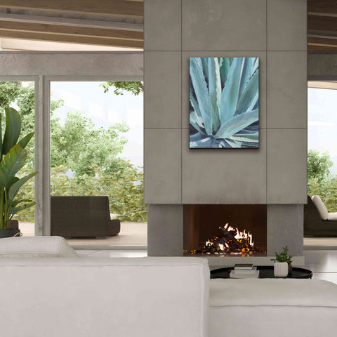 Image of 'Blue Agave by Alana Clumeck Giclee Canvas Wall Art,26x34