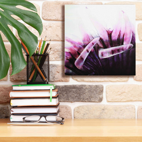 Image of 'Tentacles' by Rita Shimelfarb, Giclee Canvas Wall Art,12x12