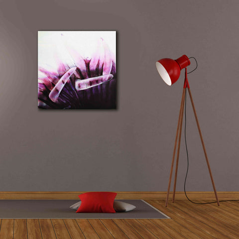 Image of 'Tentacles' by Rita Shimelfarb, Giclee Canvas Wall Art,26x26