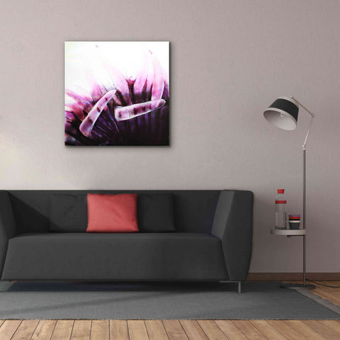 Image of 'Tentacles' by Rita Shimelfarb, Giclee Canvas Wall Art,37x37