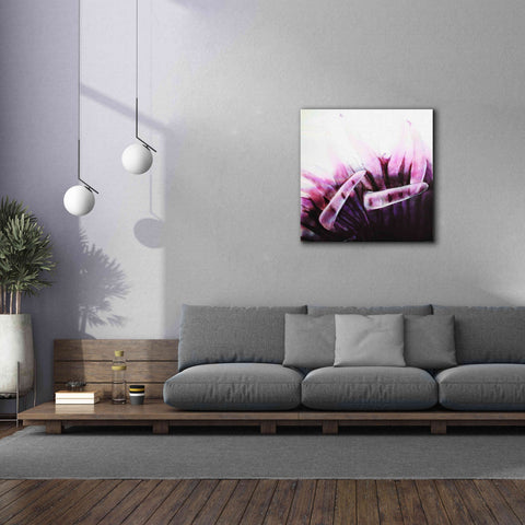 Image of 'Tentacles' by Rita Shimelfarb, Giclee Canvas Wall Art,37x37