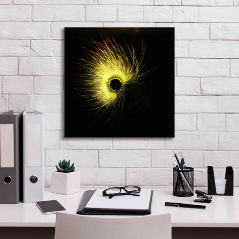 Image of 'Luminescence' by Rita Shimelfarb, Giclee Canvas Wall Art,18x18