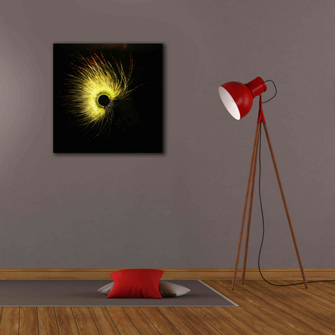 Image of 'Luminescence' by Rita Shimelfarb, Giclee Canvas Wall Art,26x26