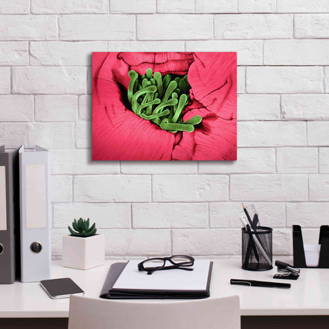 Image of 'Folds' by Rita Shimelfarb, Giclee Canvas Wall Art,16x12