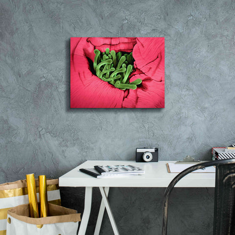 Image of 'Folds' by Rita Shimelfarb, Giclee Canvas Wall Art,16x12
