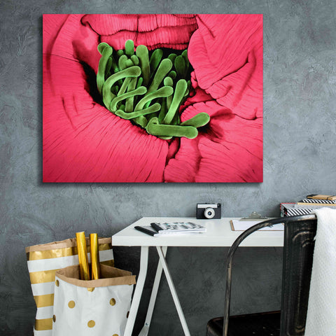 Image of 'Folds' by Rita Shimelfarb, Giclee Canvas Wall Art,34x26