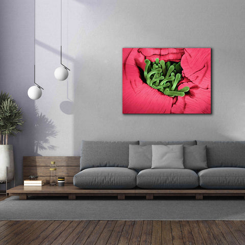 Image of 'Folds' by Rita Shimelfarb, Giclee Canvas Wall Art,54x40