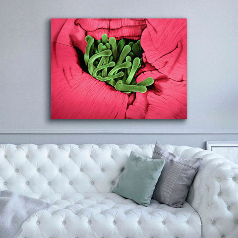 Image of 'Folds' by Rita Shimelfarb, Giclee Canvas Wall Art,54x40