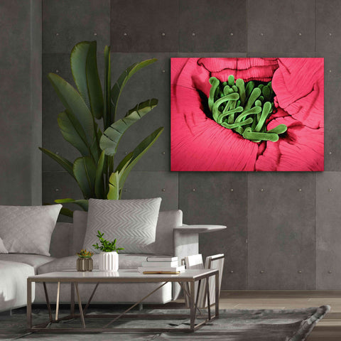Image of 'Folds' by Rita Shimelfarb, Giclee Canvas Wall Art,54x40