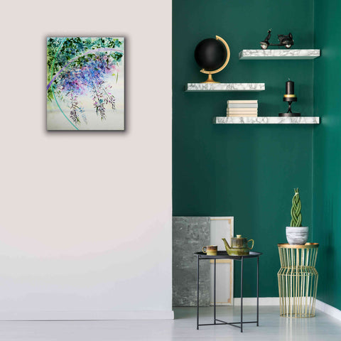 Image of 'Wisteria' by Rita Shimelfarb, Giclee Canvas Wall Art,20x24