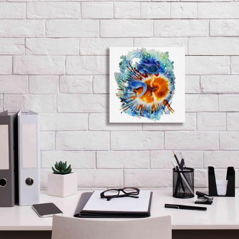 Image of 'Urticina Felinal' by Rita Shimelfarb, Giclee Canvas Wall Art,12x12