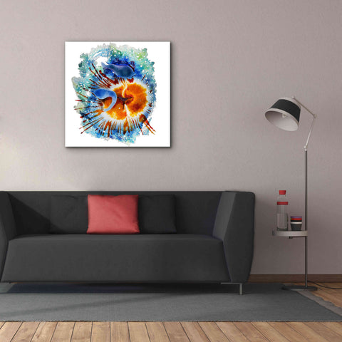 Image of 'Urticina Felinal' by Rita Shimelfarb, Giclee Canvas Wall Art,37x37