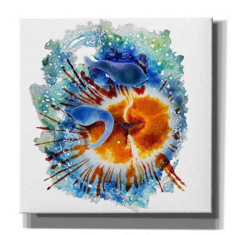 Image of 'Urticina Felinal' by Rita Shimelfarb, Giclee Canvas Wall Art