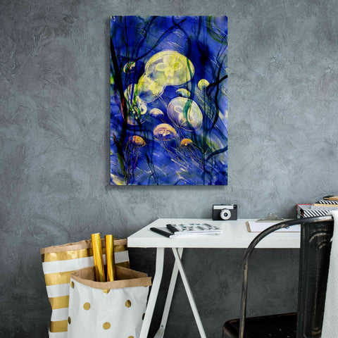 Image of 'Swimming With The Jellies' by Rita Shimelfarb, Giclee Canvas Wall Art,18x26