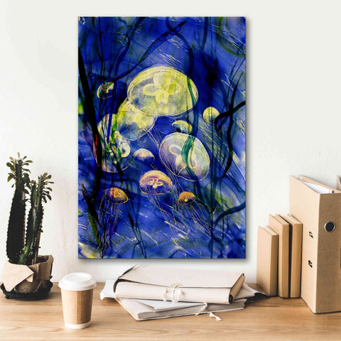 Image of 'Swimming With The Jellies' by Rita Shimelfarb, Giclee Canvas Wall Art,18x26