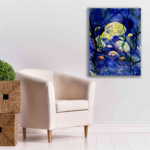 Image of 'Swimming With The Jellies' by Rita Shimelfarb, Giclee Canvas Wall Art,26x34