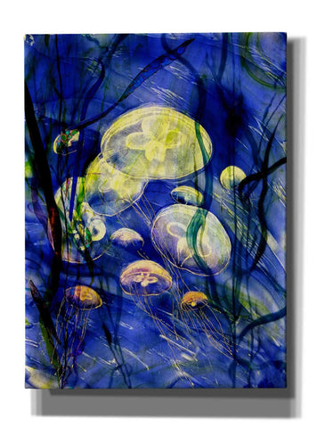 Image of 'Swimming With The Jellies' by Rita Shimelfarb, Giclee Canvas Wall Art