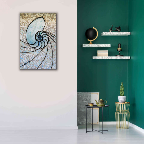 Image of 'Shell' by Rita Shimelfarb, Giclee Canvas Wall Art,26x40