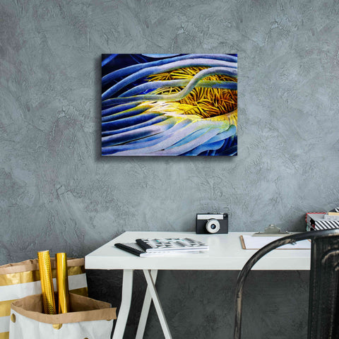 Image of 'Anemone Cerianthid' by Rita Shimelfarb, Giclee Canvas Wall Art,16x12