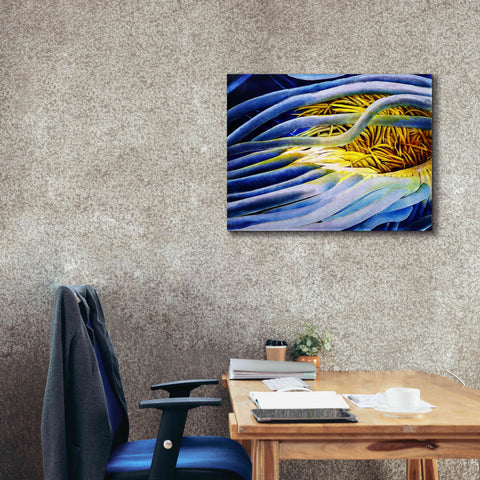 Image of 'Anemone Cerianthid' by Rita Shimelfarb, Giclee Canvas Wall Art,34x26