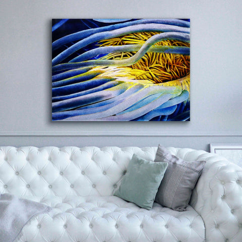 Image of 'Anemone Cerianthid' by Rita Shimelfarb, Giclee Canvas Wall Art,54x40