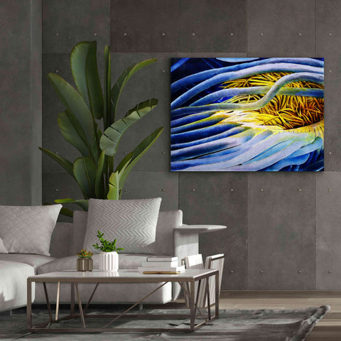 Image of 'Anemone Cerianthid' by Rita Shimelfarb, Giclee Canvas Wall Art,54x40