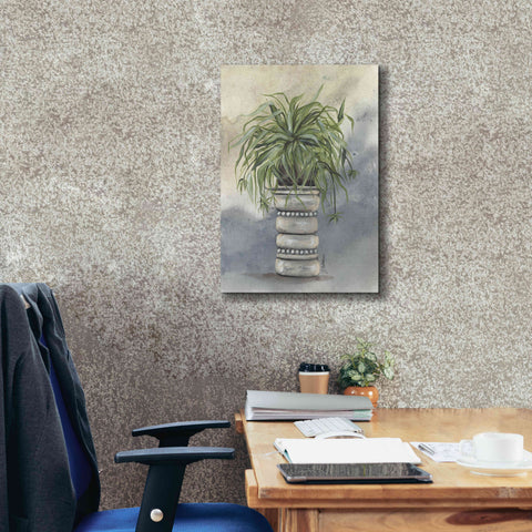 Image of 'Spider Plant in Pottery' by Julie Norkus, Giclee Canvas Wall Art,18x26