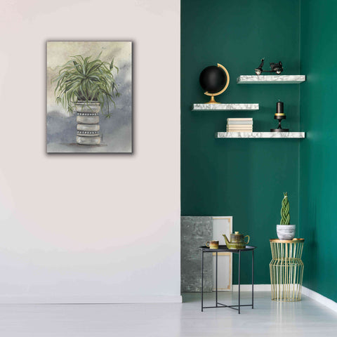 Image of 'Spider Plant in Pottery' by Julie Norkus, Giclee Canvas Wall Art,26x34