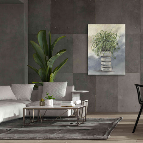 Image of 'Spider Plant in Pottery' by Julie Norkus, Giclee Canvas Wall Art,40x54