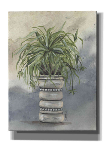 Image of 'Spider Plant in Pottery' by Julie Norkus, Giclee Canvas Wall Art