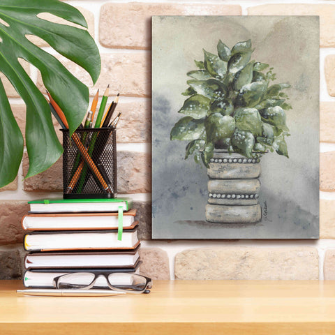 Image of 'Pathos in Pottery' by Julie Norkus, Giclee Canvas Wall Art,12x16
