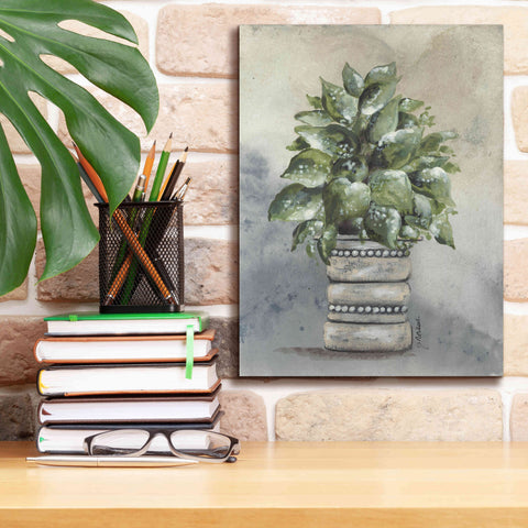 Image of 'Pathos in Pottery' by Julie Norkus, Giclee Canvas Wall Art,12x16