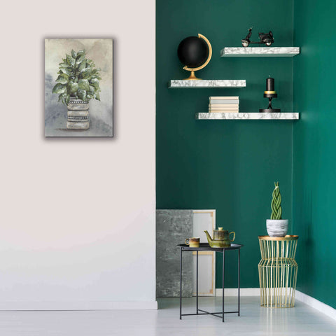 Image of 'Pathos in Pottery' by Julie Norkus, Giclee Canvas Wall Art,18x26